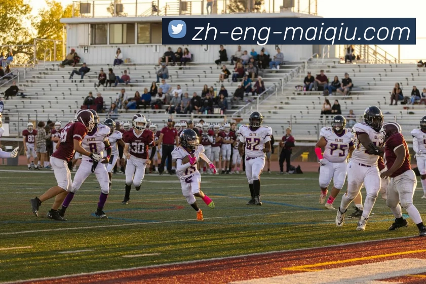 App Interface Preview